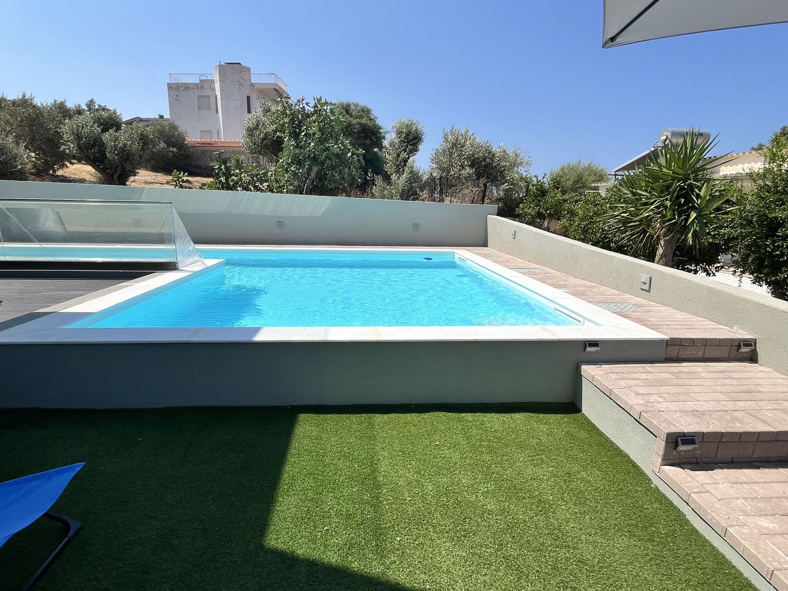 The shared pool and lawn in full daylight, ringed by olive trees.